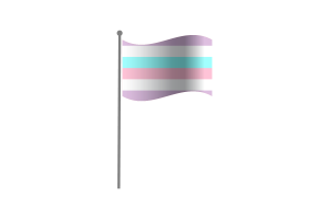挥舞着双性恋的旗帜