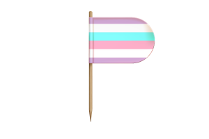 双性别旗帜桌旗