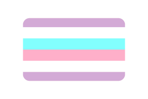 双性别旗帜圆角矩形矢量插图