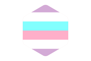 双性别旗帜圆形六边形