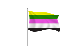 Ceterosexual性取向人群旗符号