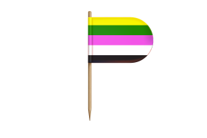 Ceterosexual性取向人群旗帜桌旗