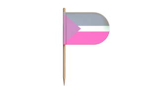 Coeosexual性取向人群旗帜桌旗