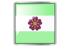 非二元性别Diamoric旗帜方块图标