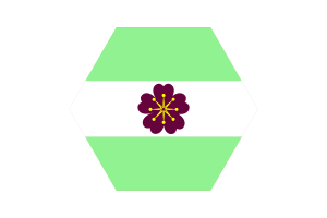 非二元性别Diamoric旗矢量免费 |SVG 和 PNG