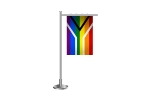 3d 同性恋骄傲南非站旗