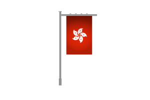 3d 香港区旗