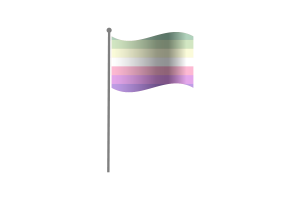 挥舞着Genderfae性别流体群体的旗帜