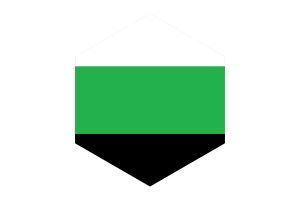 中性旗六边形
