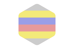 Pivotgender性别群体旗帜圆形六边形形状