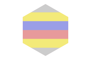 Pivotgender性别群体旗帜六边形形状