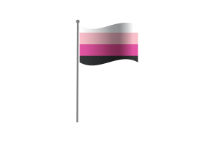 挥舞着跨性女群体的旗帜