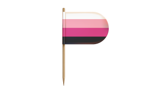 跨性女群体旗帜桌旗
