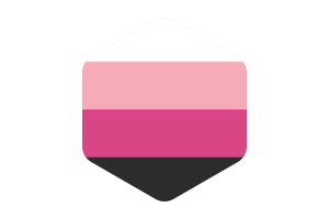 跨性女群体旗帜圆形六边形