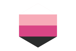 跨性女群体旗帜六边形