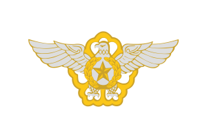 韩国空军标志