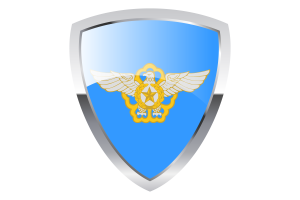 韩国空军盾旗