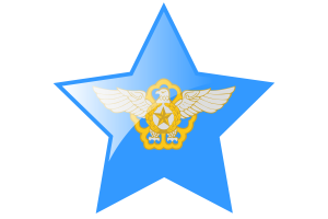 韩国空军旗星图标