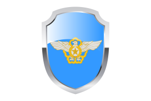 韩国空军盾牌标志