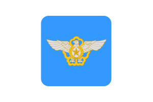 韩国空军旗帜方形圆形