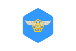 韩国空军旗帜圆形六边形