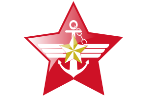 韩国武装部队旗帜星图标