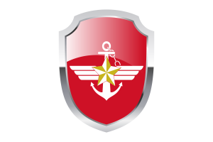 韩国武装部队盾牌标志
