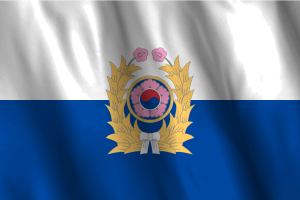 韩国陆军旗帜