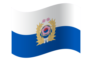 韩国陆军旗帜