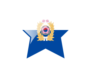 韩国陆军旗帜星图标