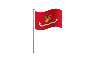 挥舞着韩国海军陆战队旗帜