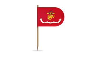 韩国海军陆战队旗帜旗帜桌旗