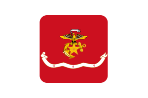 韩国海军陆战队旗帜 圆形方形