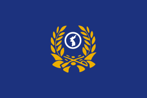 韩国预备役军旗