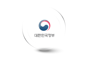 大韩民国政府旗帜光泽圆形按钮