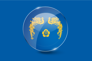 韩国总统国旗光面圆形按钮