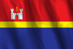 加里宁格勒国旗