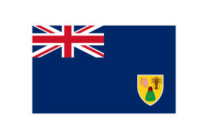 特克斯和凯科斯群岛国旗三角形矢量插图