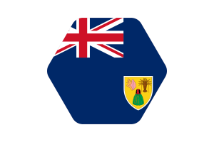 特克斯和凯科斯群岛国旗矢量插图
