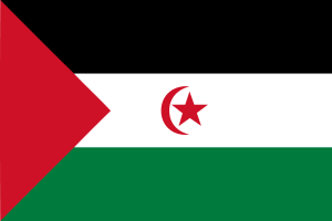 西撒哈拉国旗