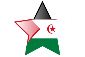 西撒哈拉国旗星图标