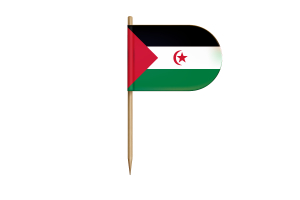 西撒哈拉国旗桌旗