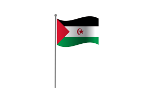 挥舞着西撒哈拉国旗
