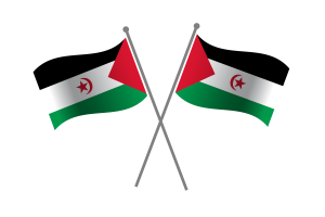 西撒哈拉友谊旗帜