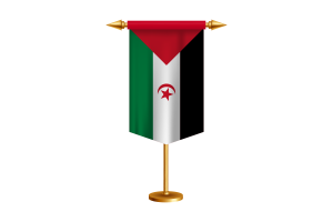 西撒哈拉国旗插图与立场