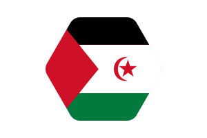 西撒哈拉国旗矢量插图