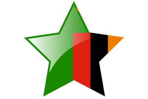 赞比亚国旗星图标