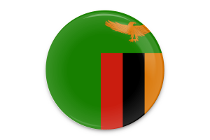 赞比亚国旗矢量艺术