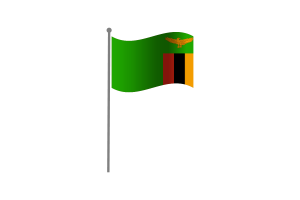 挥舞着赞比亚国旗