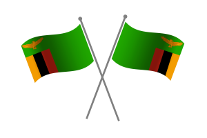 赞比亚友谊旗帜
